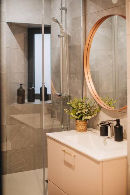 La Vie En Rose - Luxe, Calme & Hypercentre - 3* Apartman Annecy Kültér fotó