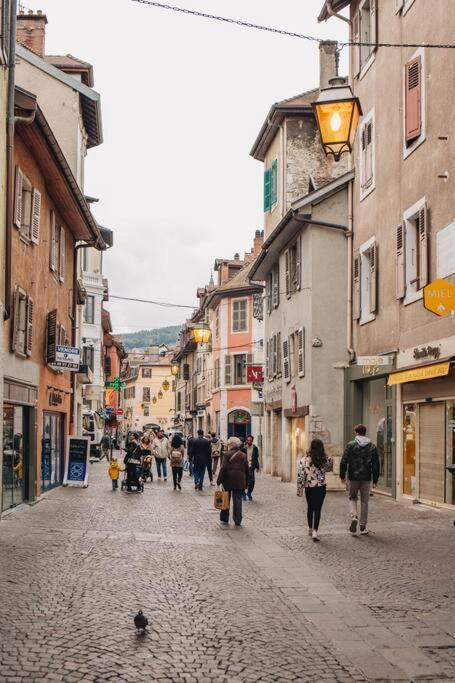 La Vie En Rose - Luxe, Calme & Hypercentre - 3* Apartman Annecy Kültér fotó